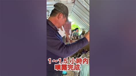 磨石頭|非常專業的彭錦文師傅傳授大家，磨石頭專業知識，技術知識，在。